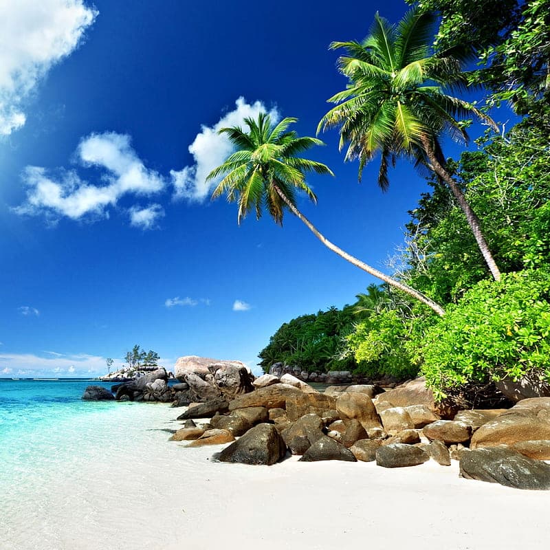 Beach Vibes
