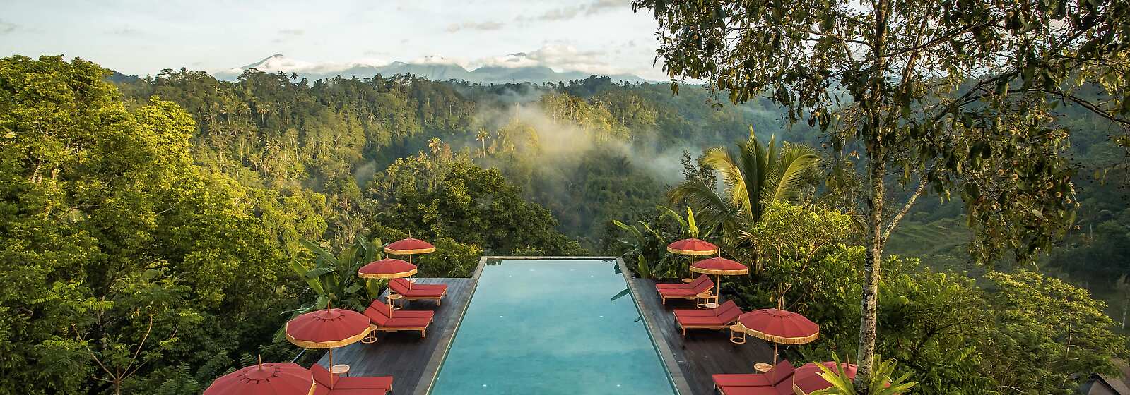 Find Your Perfect Stay